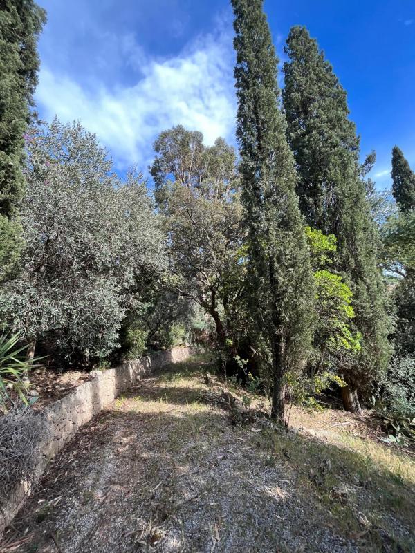 Terrain - 1 630 m²