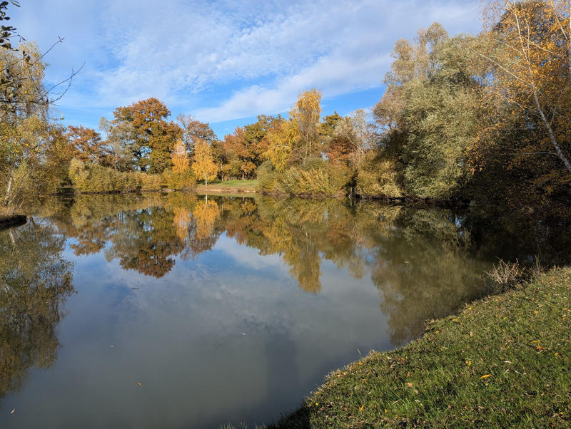 Terrain - 20 387 m²