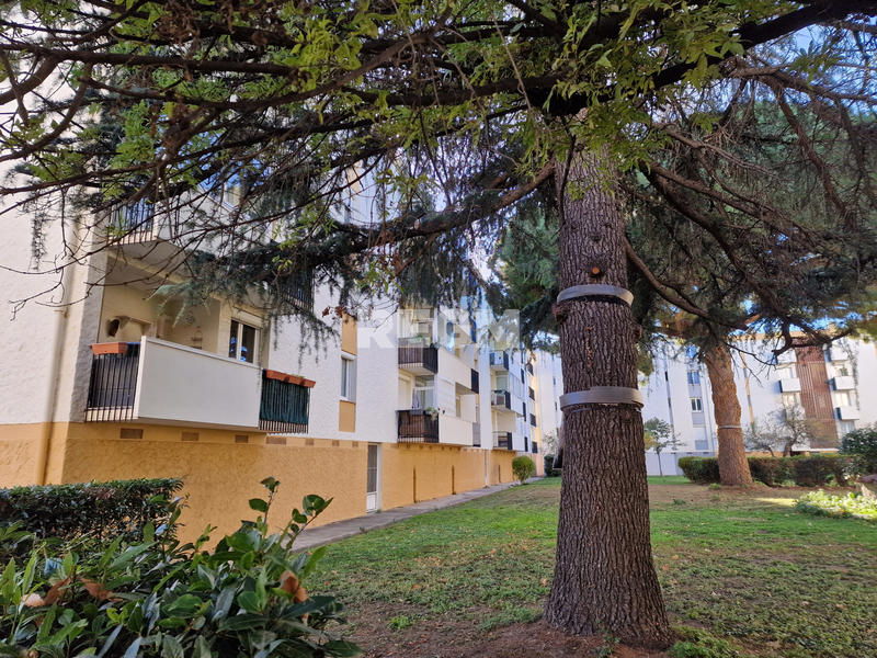 Appartement - 76 m² - 4 pièces