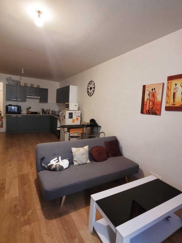 Studio - 49 m² - 1 pièce