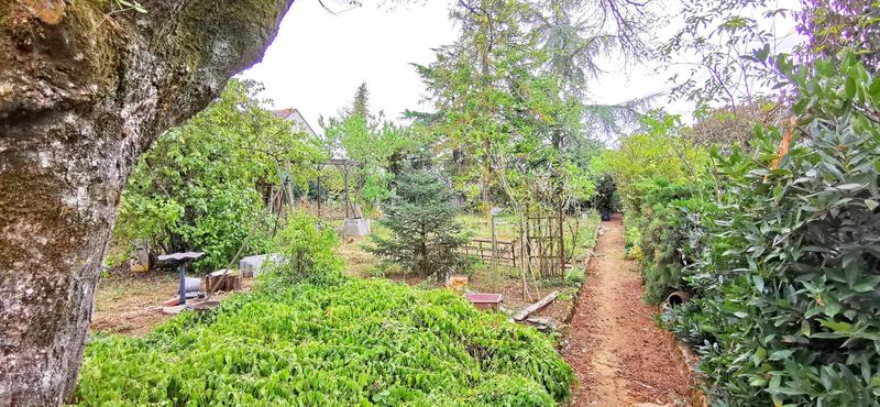 Viager - Maison - 281 m² - 6 pièces