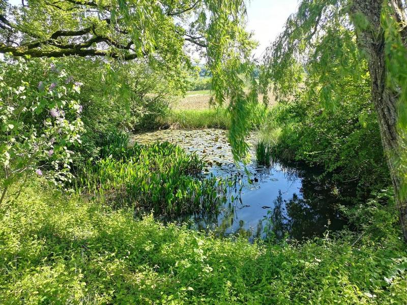 Maison - 394 m² - 10 pièces