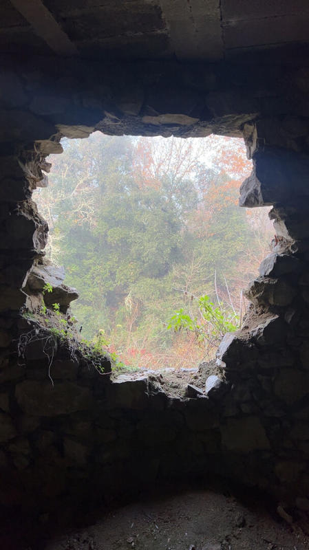 Maison - 330 m² - 5 pièces