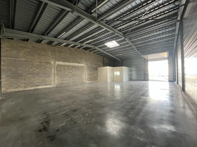 Local d'activité / Entrepôt - 250 m²