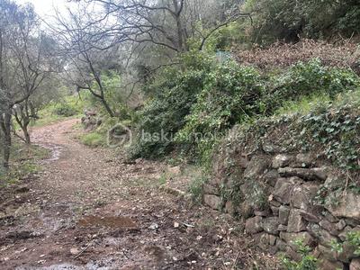 Terrain de loisirs - 3 684 m²