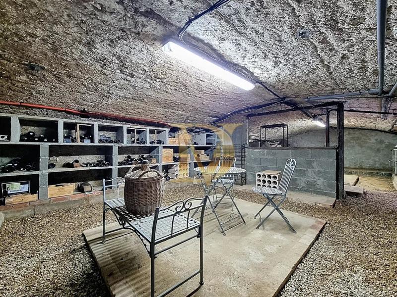 Propriété - 250 m² - 10 pièces