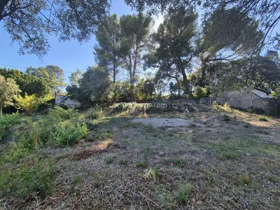 Terrain - 1 104 m²