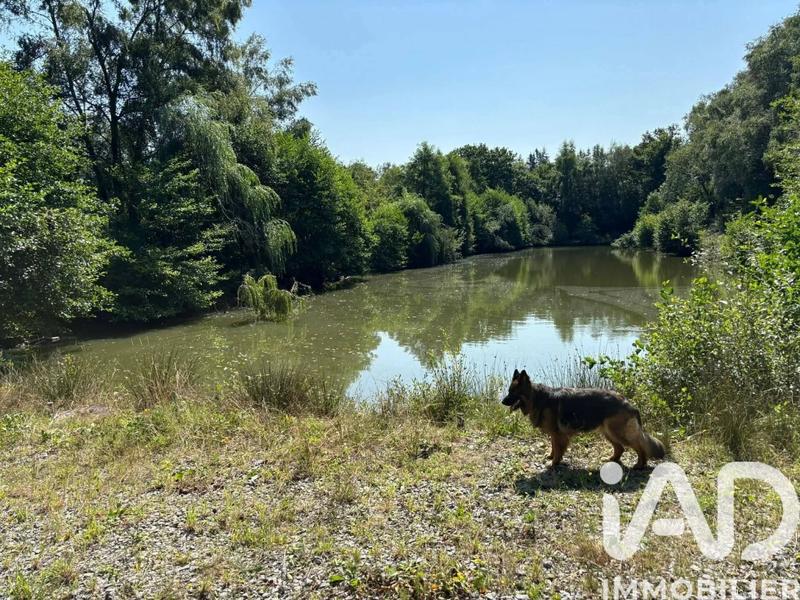 Maison - 380 m² - 8 pièces