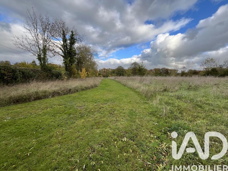 Maison - 142 m² - 5 pièces