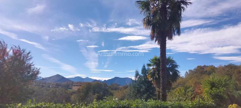 Appartement - 81 m² - 2 pièces