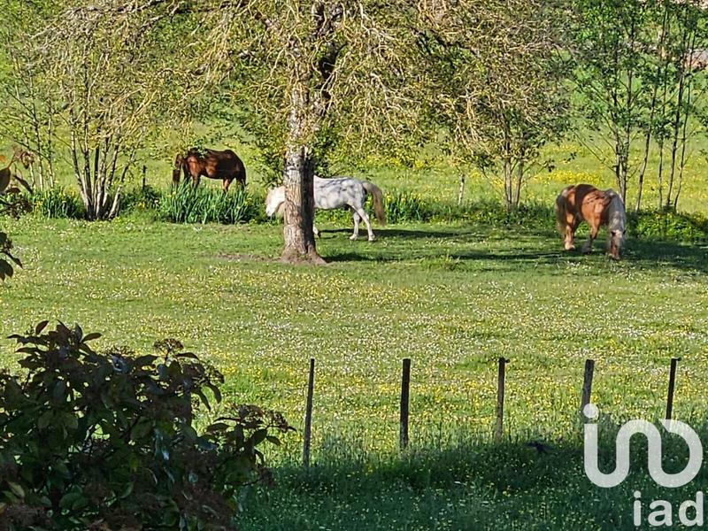 Maison - 130 m² - 4 pièces