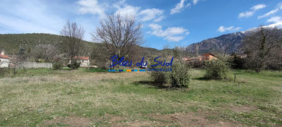 Terrain - 1 173 m²