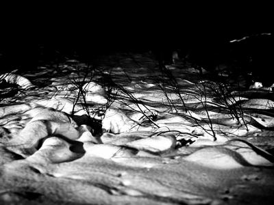 Conférence « Noirceur &amp; Opacité dans le Black Metal »