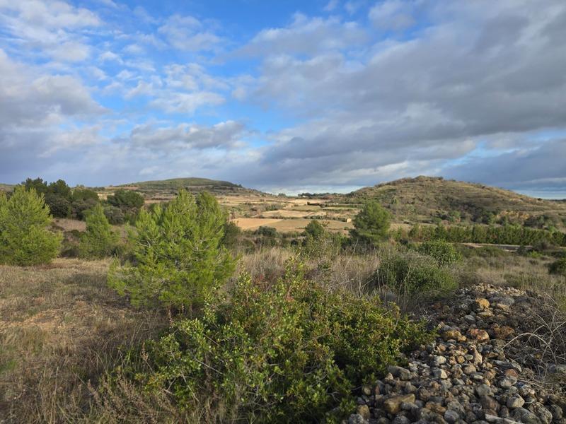 Terrain agricole - 8 540 m²