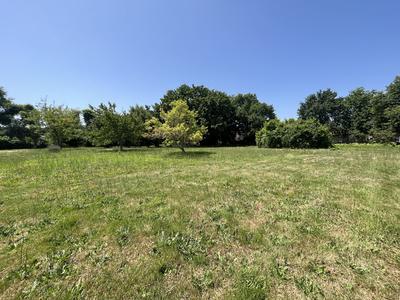 Terrain - 3 000 m²