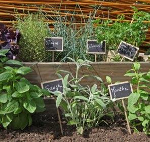 Aux Serres Hermitoises