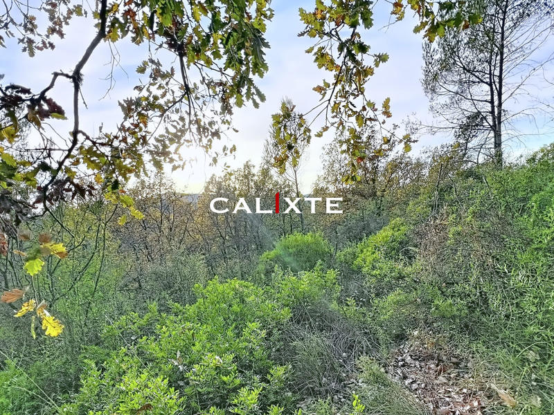 Terrain agricole - 17 980 m²