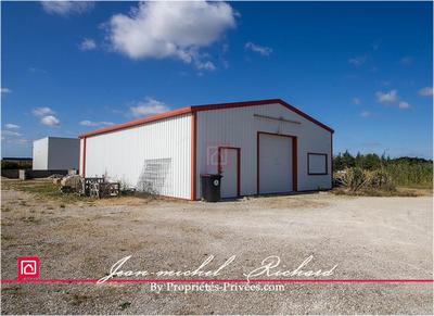 Local d'activité / Entrepôt - 153 m² - 5 pièces