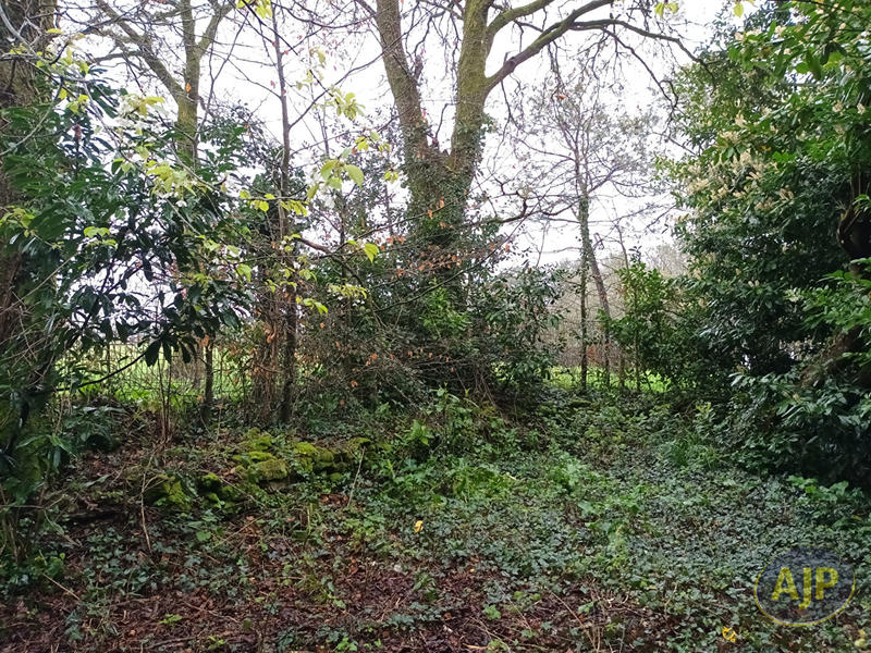 Maison - 147 m² - 7 pièces