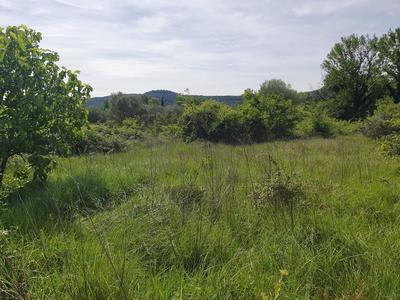 Terrain - 2 277 m²