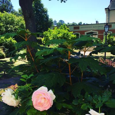 Exposition « au fil » à Vendôme