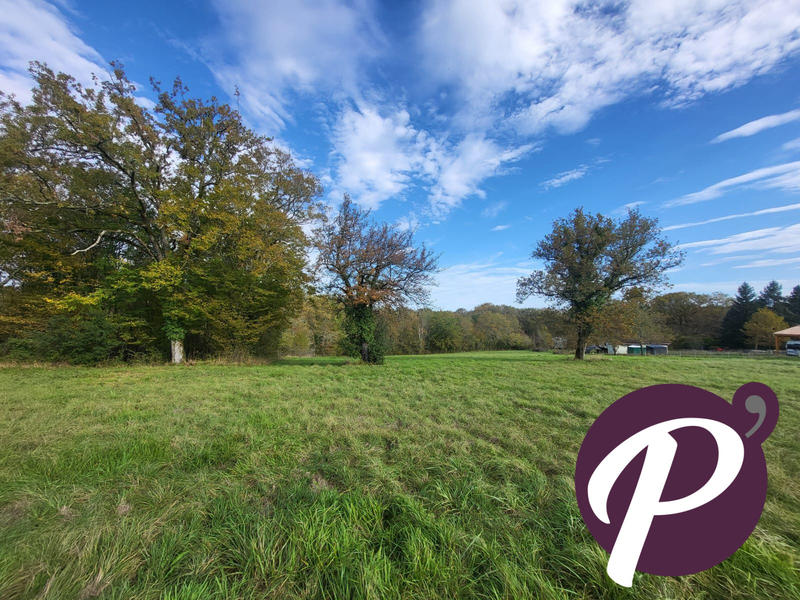 Terrain - 14 806 m²