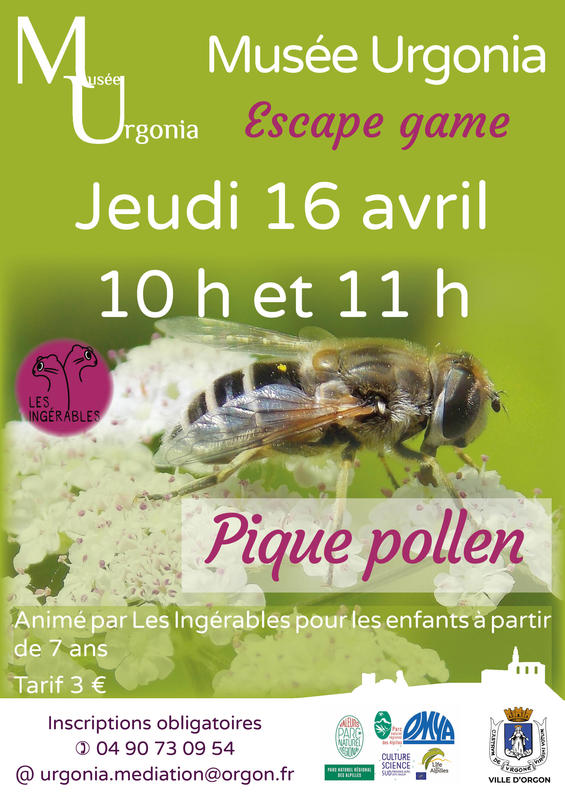 « Escape game pique pollen »