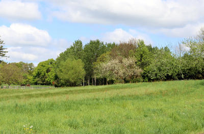 Maison en pierre - 167 m² - 7 pièces