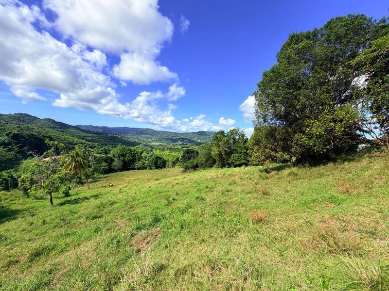 Terrain constructible - 1 200 m²