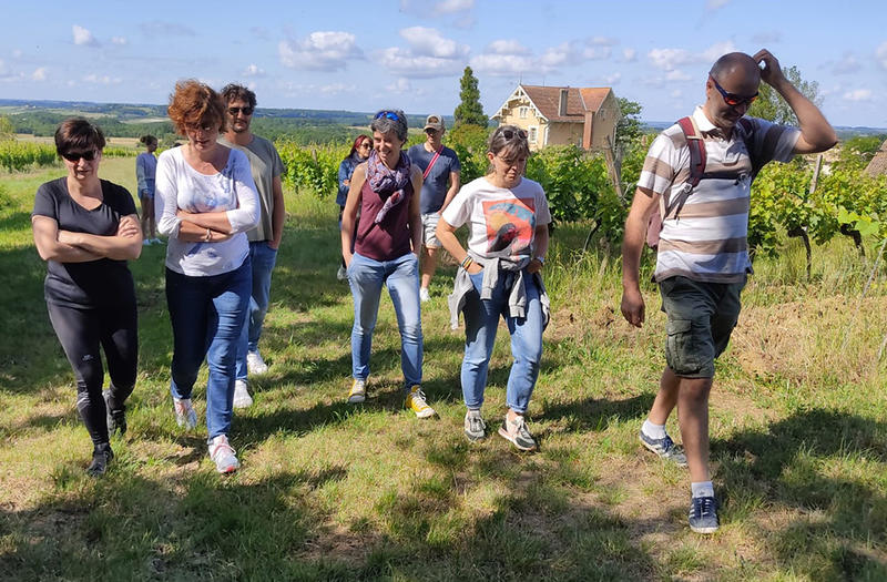 Vigne et vin découverte | Domaine du Siorac