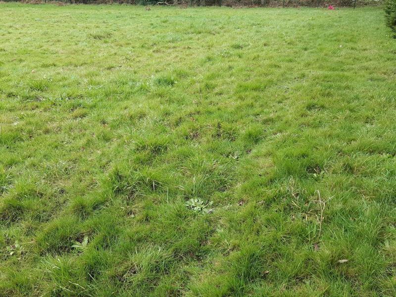 Terrain constructible - 452 m²