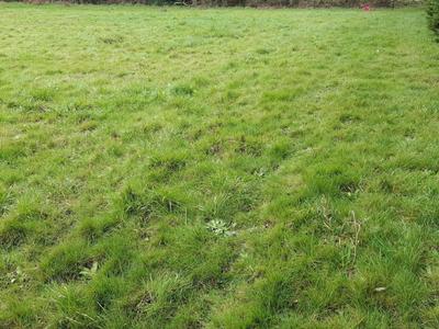 Terrain constructible - 452 m²