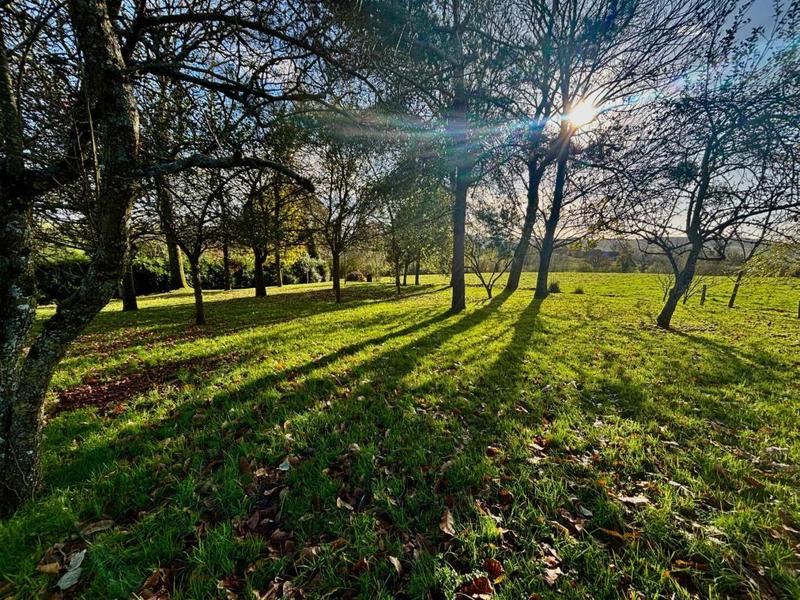 Maison - 165 m² - 6 pièces