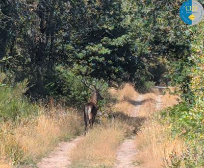 Terrain - 24 900 m²