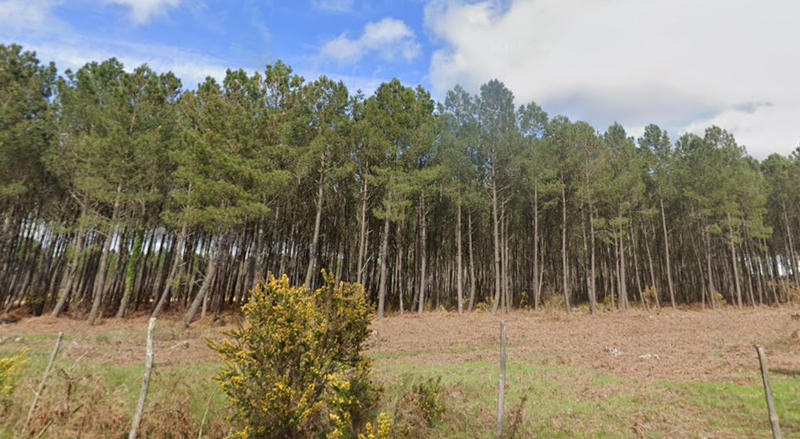 Terrain constructible - 500 m²