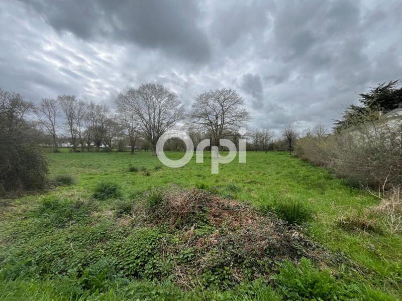 Terrain constructible - 9 566 m²