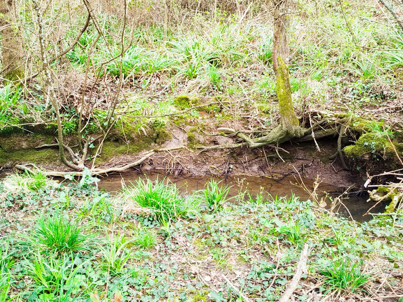 Terrain agricole - 9 170 m²