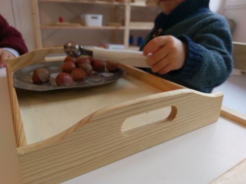 Nos Eléphants Roses