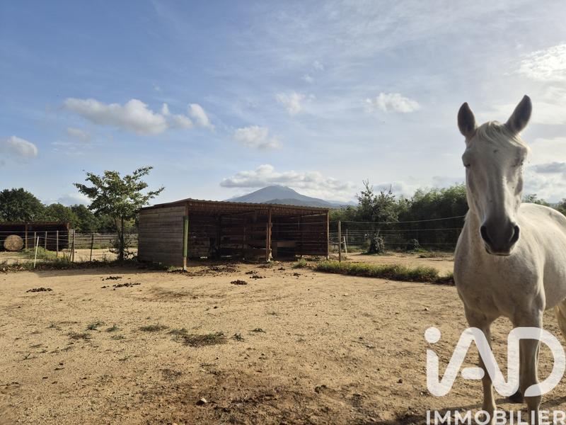 Maison - 132 m² - 4 pièces