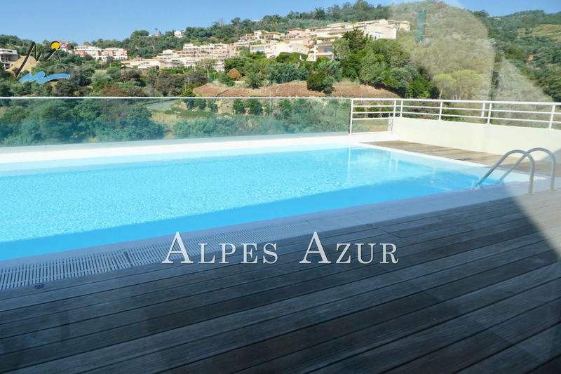 Appartement - 29 m² - 1 pièce