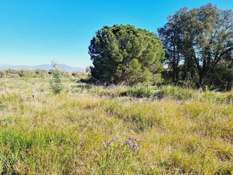 Terrain constructible - 1 383 m²