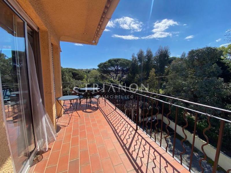 Studio - 24 m² - 1 pièce