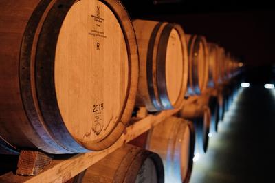 Vendanges de l’hivernal, au Château de Crouseilles