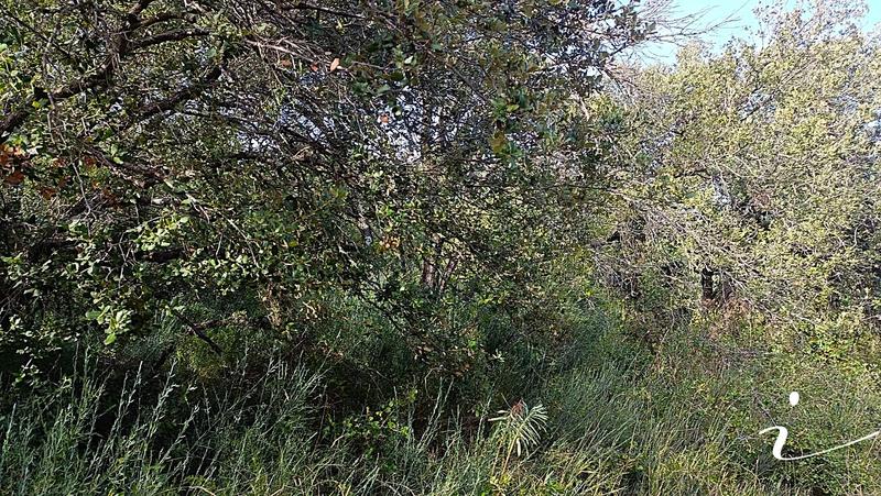 Terrain agricole - 12 250 m²