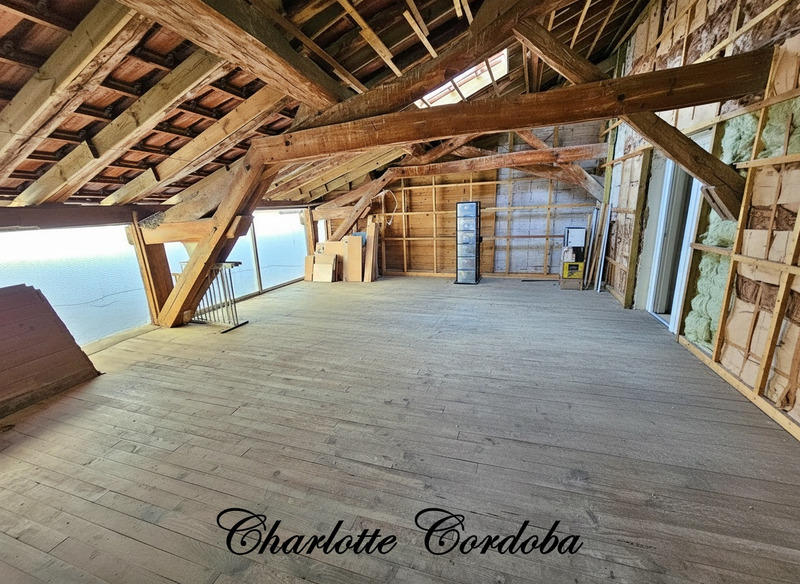 Maison en pierre - 253 m² - 9 pièces