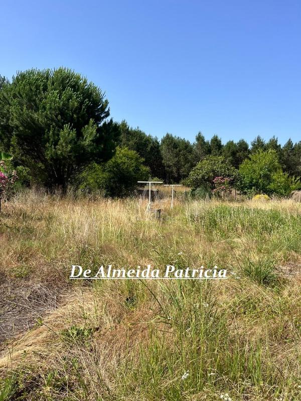 Maison - 336 m² - 11 pièces