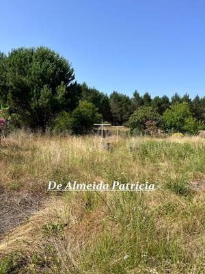 Maison - 336 m² - 11 pièces