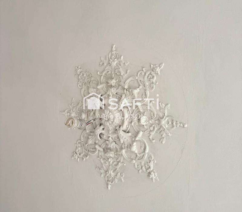 Maison de maîtres - 172 m² - 7 pièces