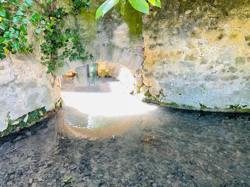 Propriété - 684 m² - 15 pièces