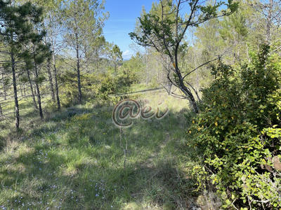 Terrain agricole - 5 893 m²